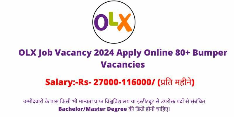 OLX Job Vacancy 2024